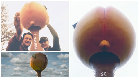 Peachoid Montage